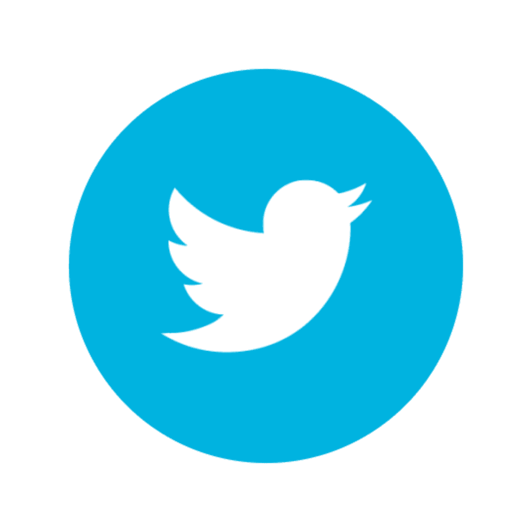 Twitter icon